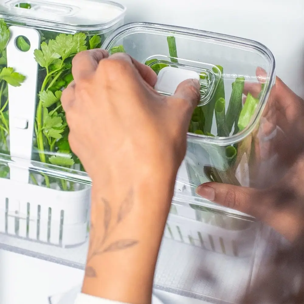 Kit Potes com Drenagem para Temperos FreshBox – 2 Unidades 2,3L