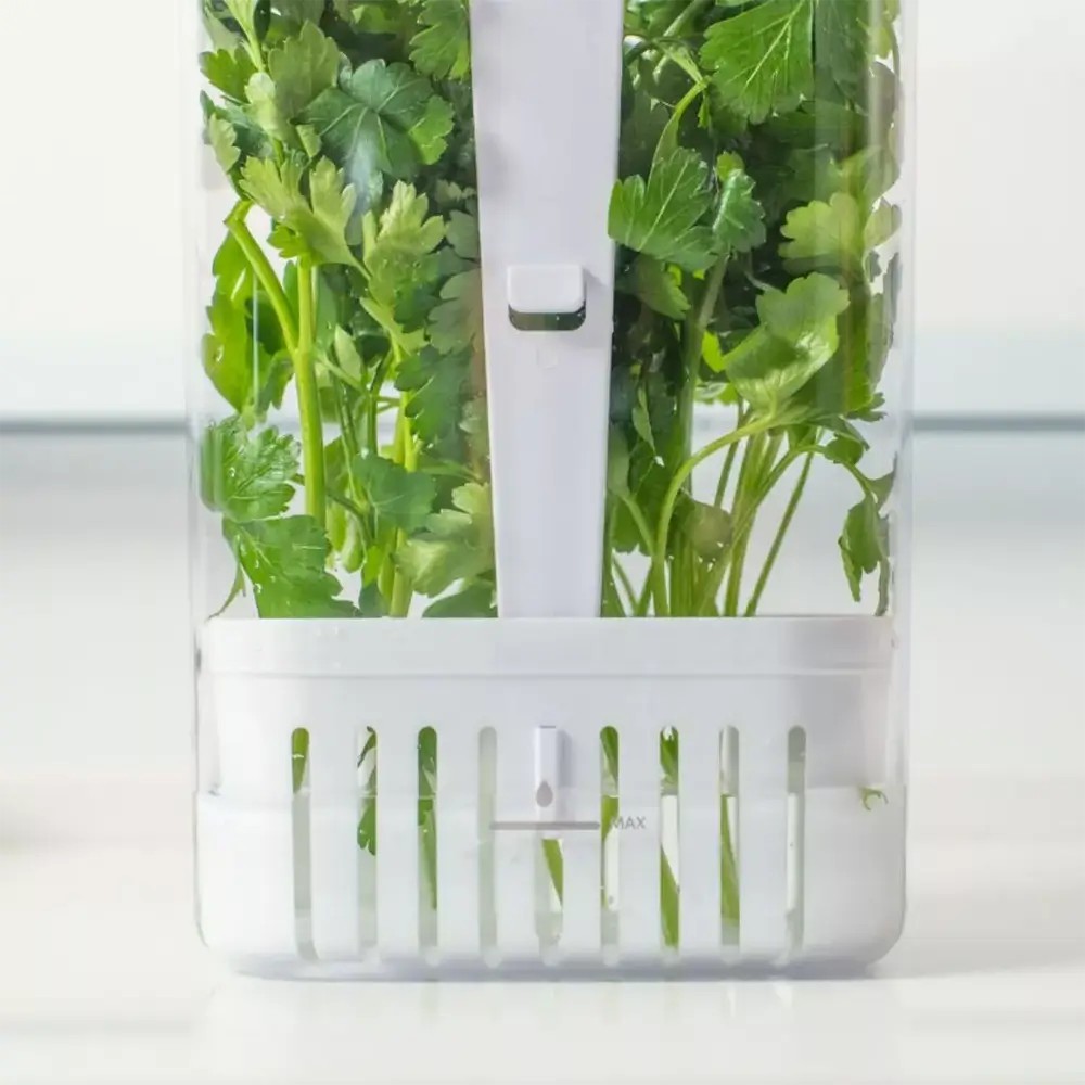 Kit Potes com Drenagem para Temperos FreshBox – 2 Unidades 2,3L