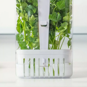 Kit Potes com Drenagem para Temperos FreshBox – 2 Unidades 2,3L
